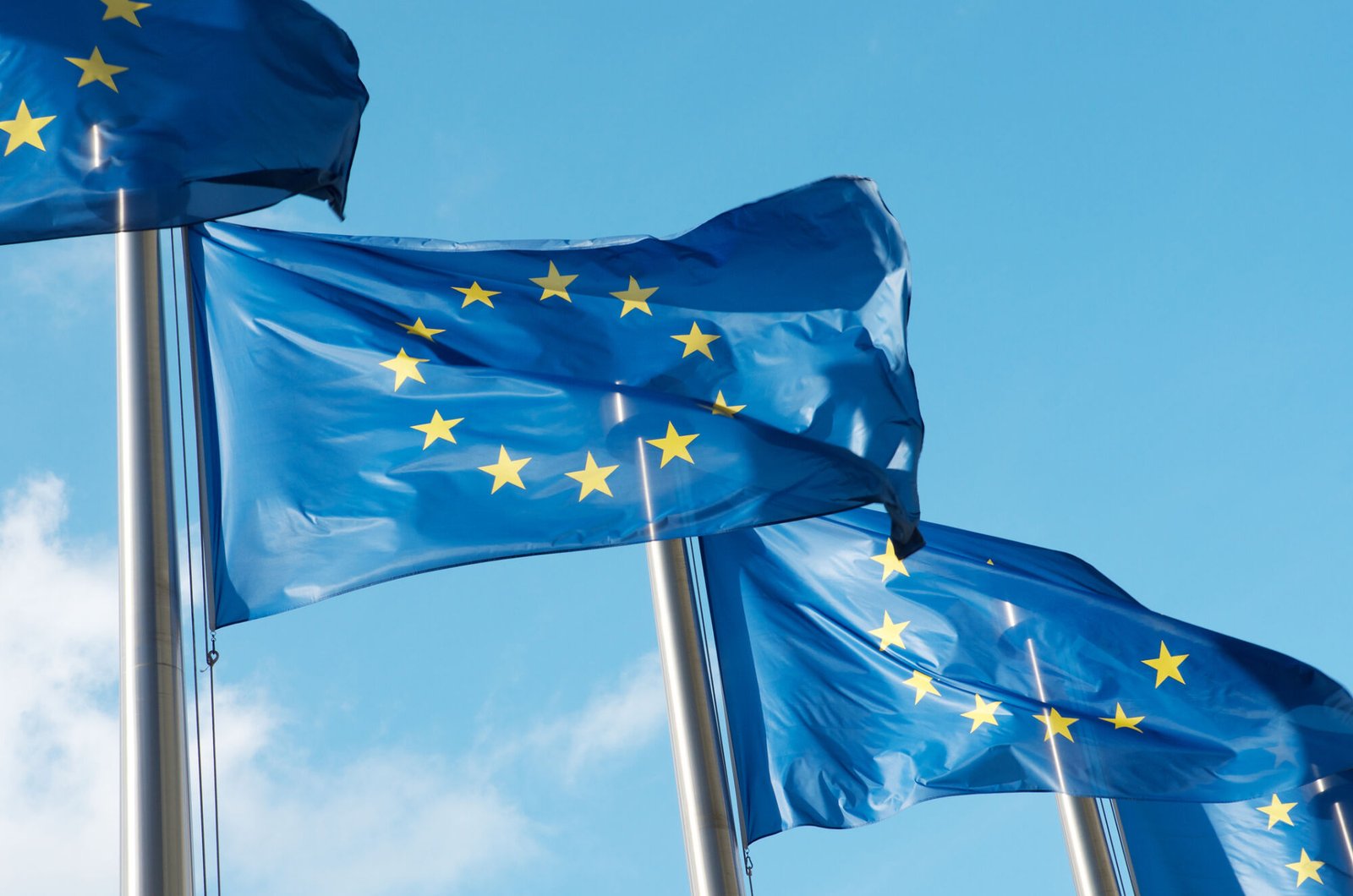 Row of blue EU flags in Brussels. The blue flags have twelve yellow stars depicting the original number of member states.