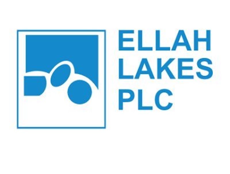 Ellah Lakes Targets Dividend Pay-out by 2026, Floats N235bn Offer – THISDAYLIVE