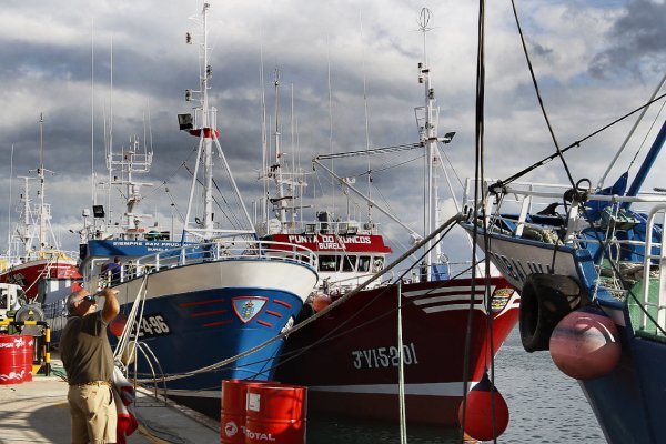 The European Union's ban on deep-sea fishing threatens the economic viability of the EU longline fleet according to Spanish researchers eu fisheries statistics 2022