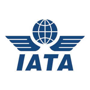 STIP a Significant Step Toward Decarbonizing Air Transport, But Stronger Action Still Needed