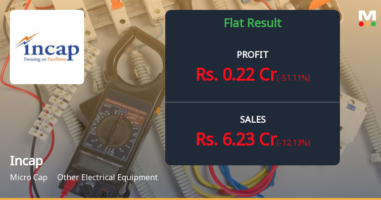 Revenue Decline and Margin Pressure Test Micro-Cap Manufacturer