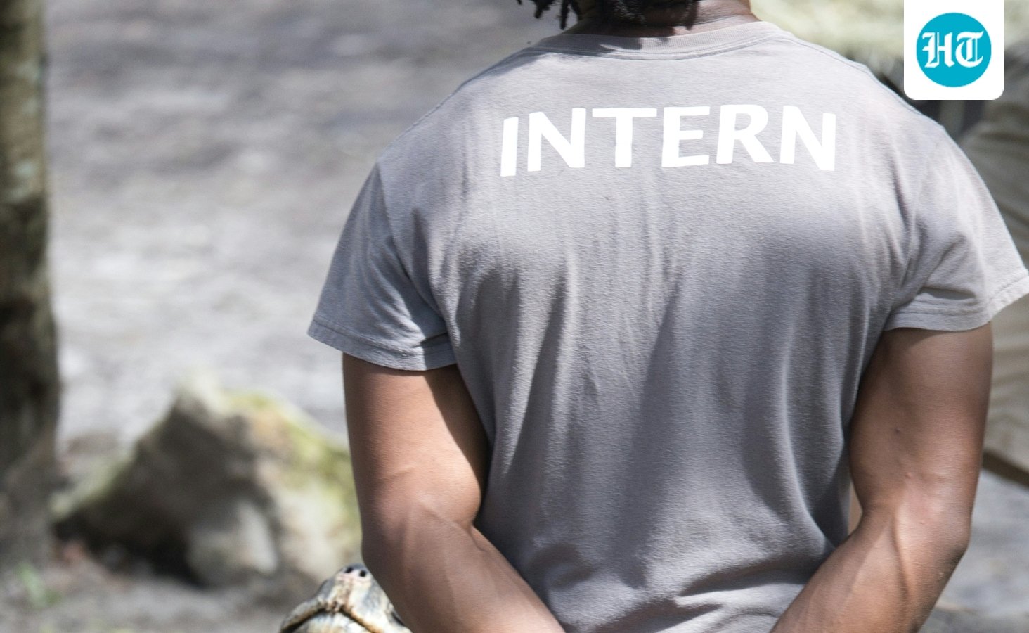 Indian founder looks for intern for ‘11 am to 11 pm’ schedule for ₹1 lakh stipend in Bengaluru
