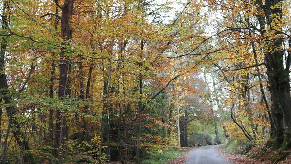 A Conservative Ecology of Endurance ━ The European Conservative
