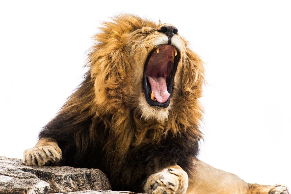 Reuters: Europe's operators to gain lion's share of 6GHz for mobile