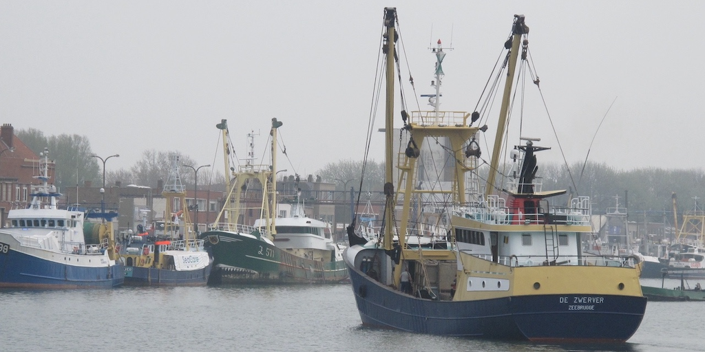EU fishing fleet bounces back with increased 2025 profits