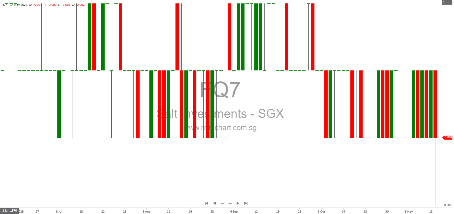 Salt Investments Limited 1H FY2026 Interim Financial Results – No Dividend Declared for Six Months Ended 30 September 2025 15 – Minichart
