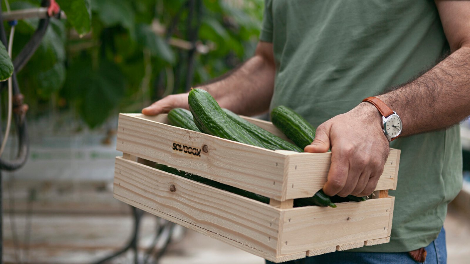 Swedish Company Launches Edible Packaging for Vegetables ━ The European Conservative