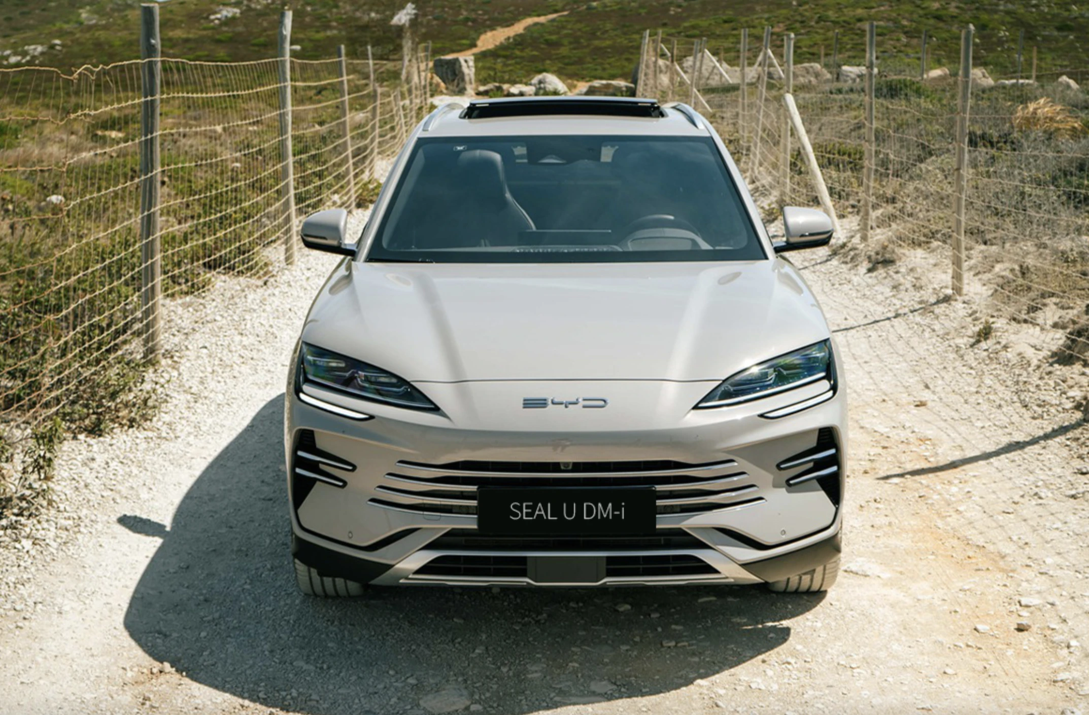 BYD Considers Portugal for Third Car Factory in Europe