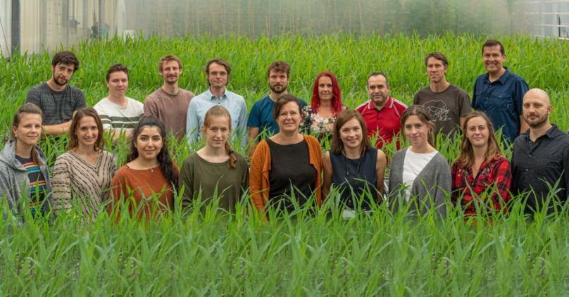 Cutting-edge European startups that secured funding from Bill & Melinda Gates Foundation — TFN