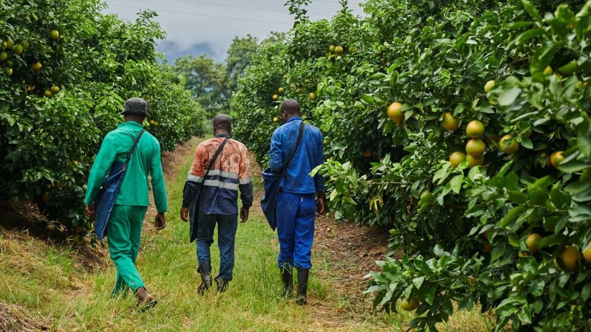South Africa beating major European country in its own backyard – BusinessTech