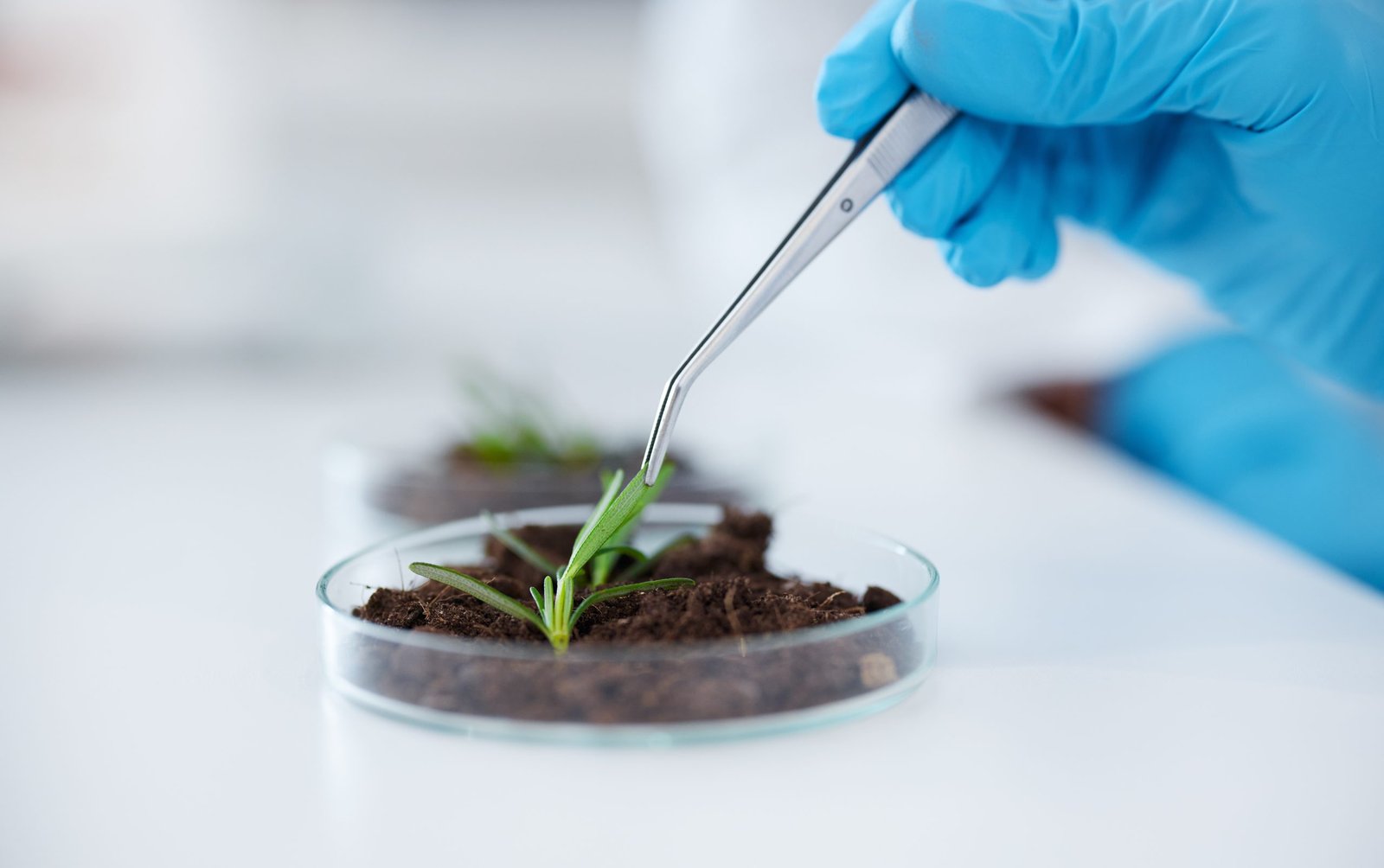 New EU research partnerships on superbugs and agri-data launched