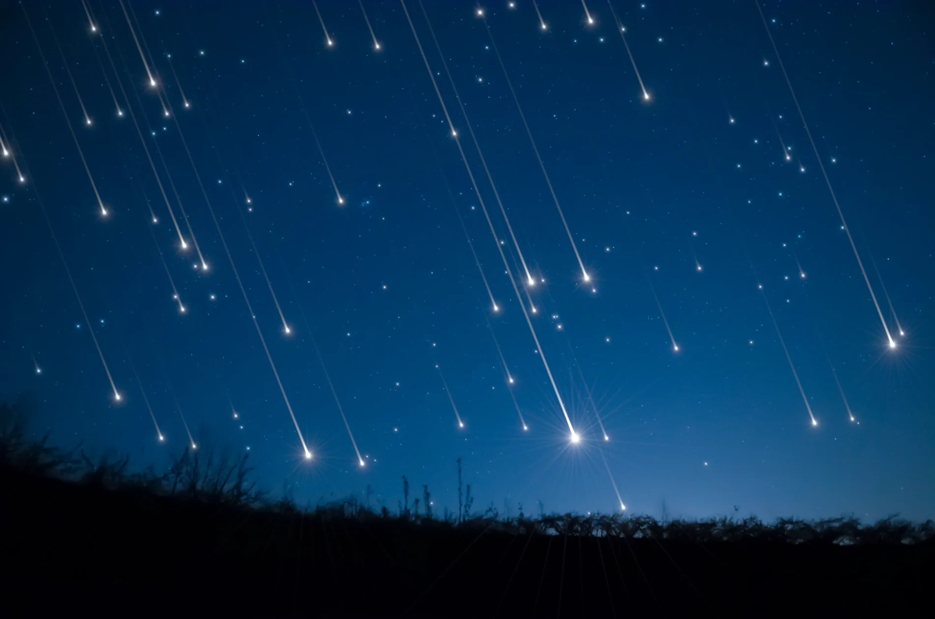 Taurid Fireballs to Illuminate the November Sky