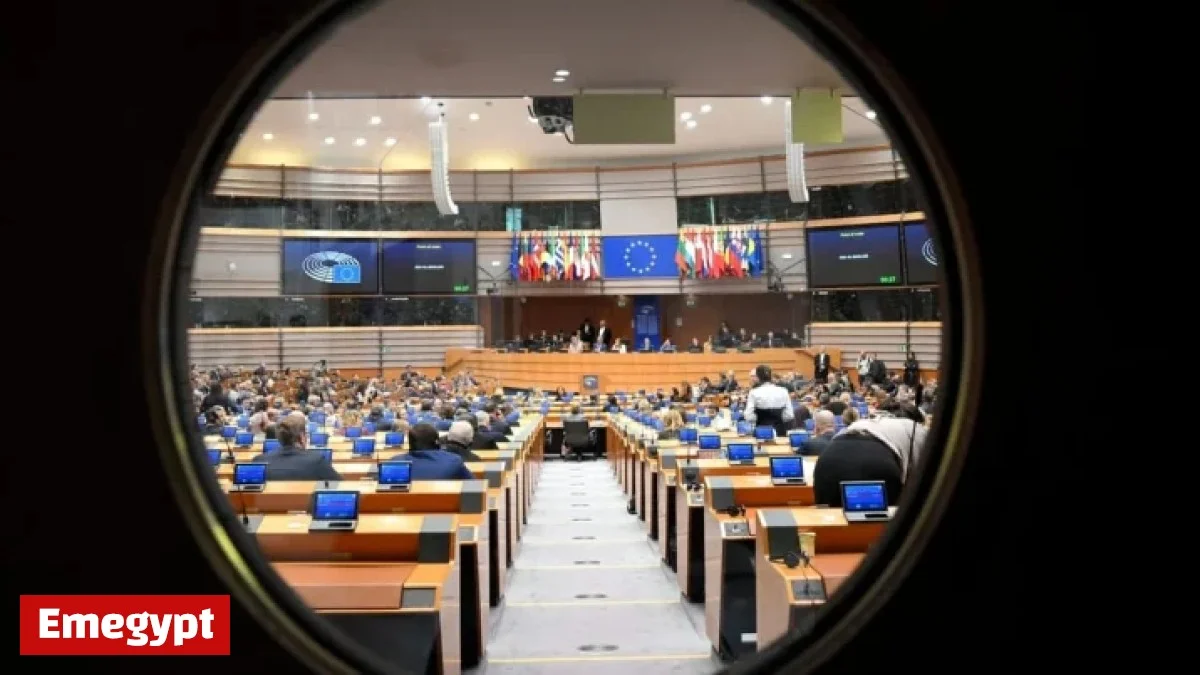 EU Parliament Urged to Assert Veto Power for Stronger Influence