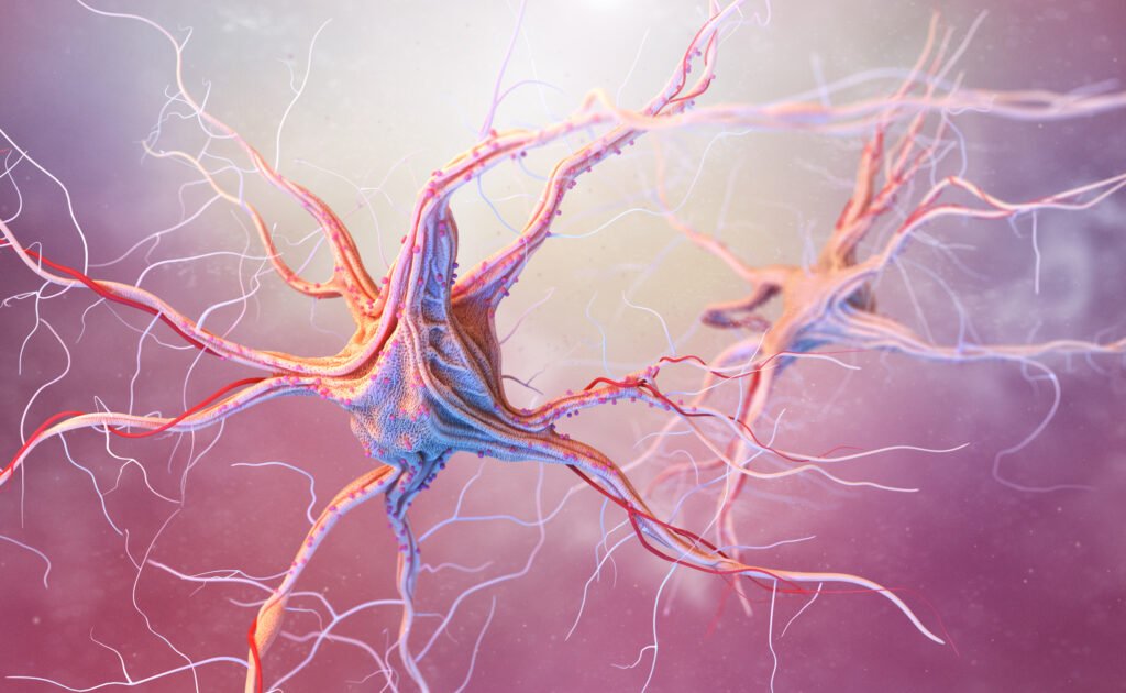 Renerve secures A$3.2M to accelerate commercialisation of its nerve repair devices