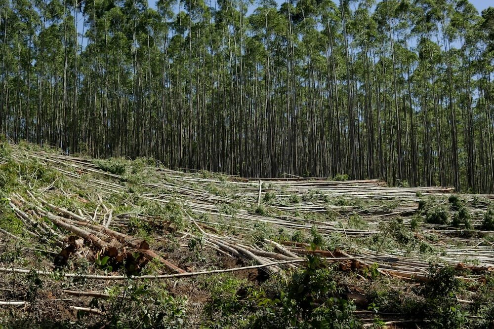 ESG news covering the EU’s delay of deforestation rules, rising U.S. housing risks from climate impacts, IFC’s $100M clean-energy investment in emerging markets, and ABN AMRO’s appointment of a new Chief Sustainability Officer.