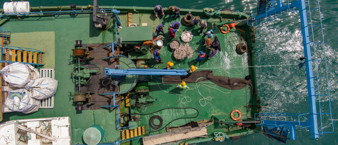 Fisheries sustainability concerns remain, but overfishing drops to its lowest level in a decade, while aquaculture feeds more people