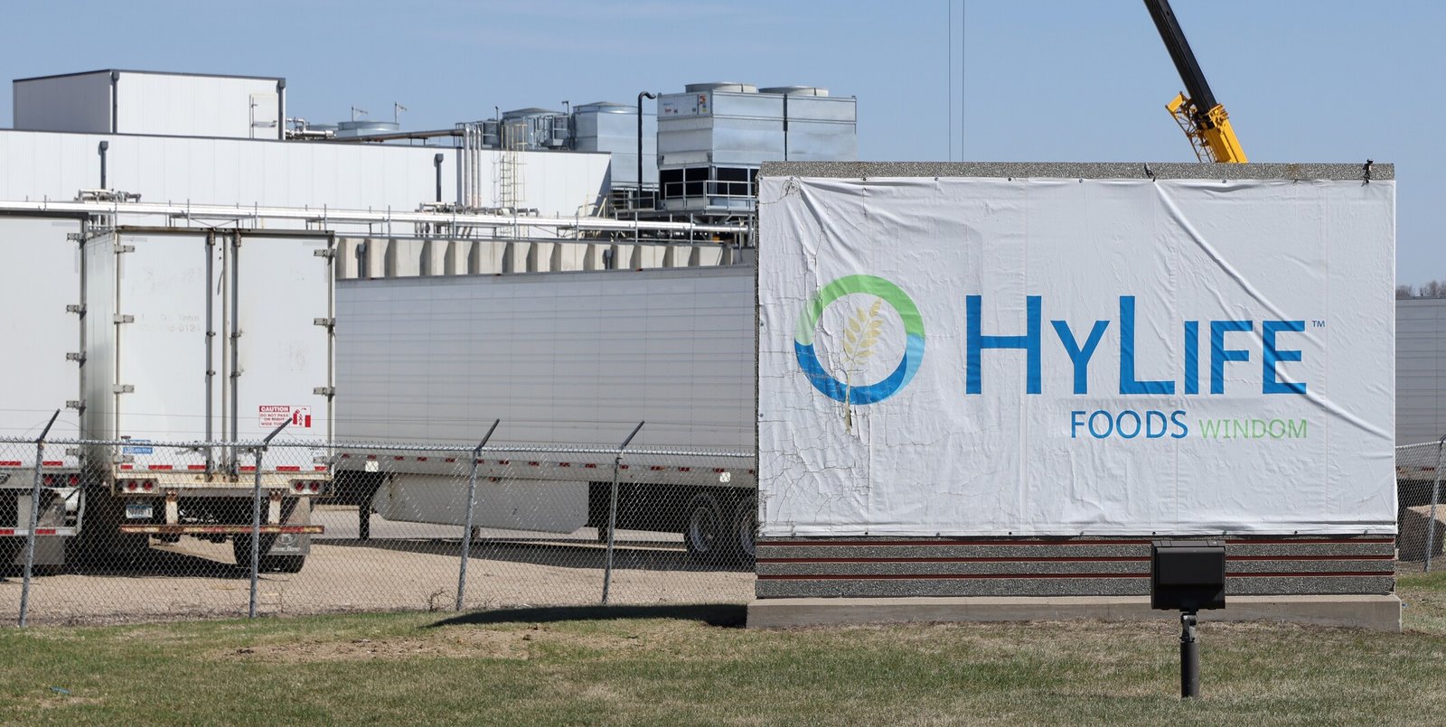 Windom, HyLife leaders hope to avoid layoffs by finding a buyer for the hog processing facility - The Globe