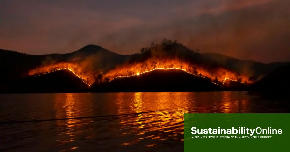 Europe reported record wildfire emissions this year