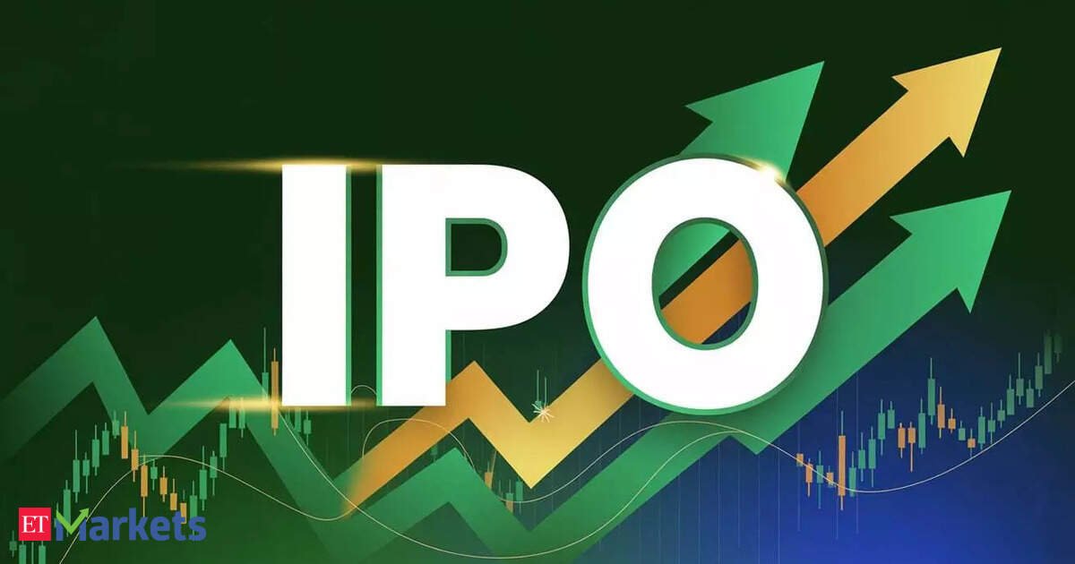 India's IPO frenzy hits century to shatter 18-year record, but easy money days are over