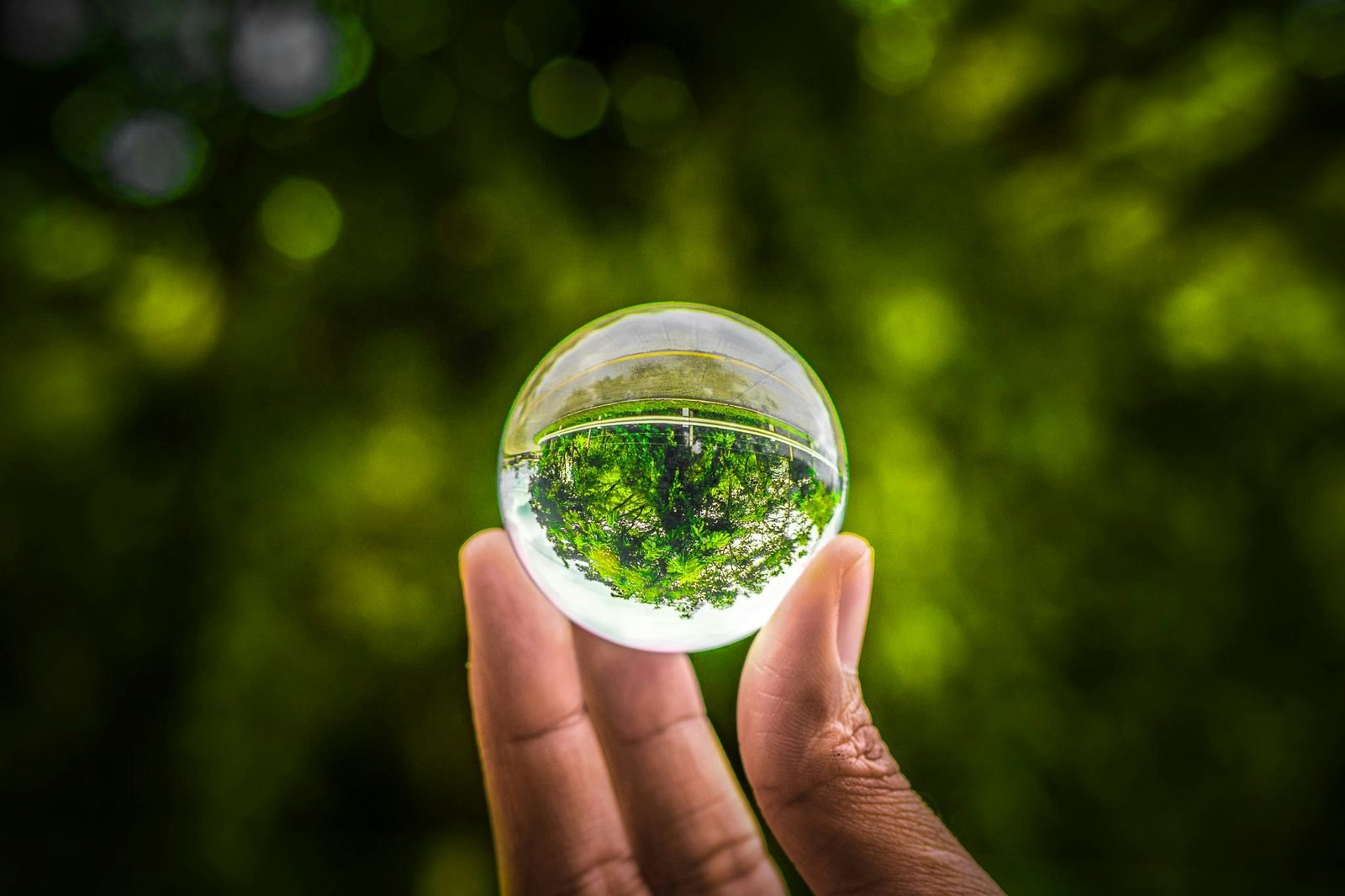 SFDR 2.0 reinforces measurable impact among sustainable startups — this VC is already ahead of the curve