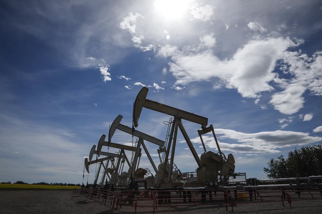 Oilpatch workforce faces more cuts this year before rebound in 2022-23, says PetroLMI