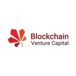 Blockchain Venture Capital Inc. Announces Closing of 2025 Fundraising