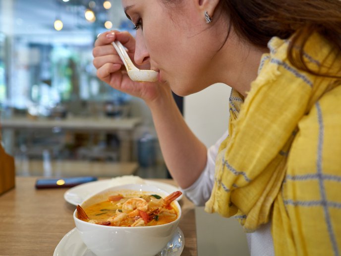 The sensory science shaping the future of food | SEASONED Project | Results in Brief | HORIZON | CORDIS