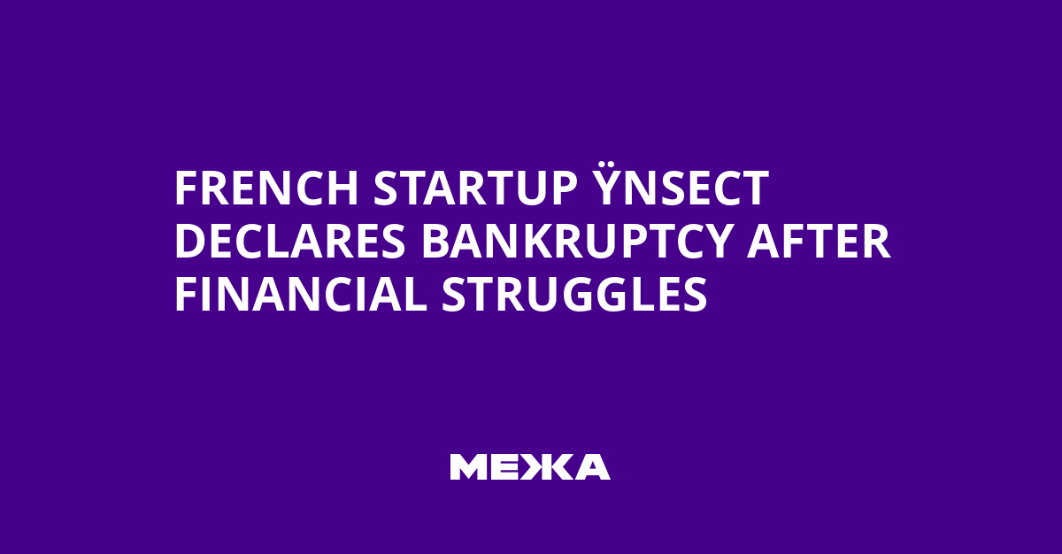 French Startup Ÿnsect Declares Bankruptcy After Financial Struggles | Ukraine news