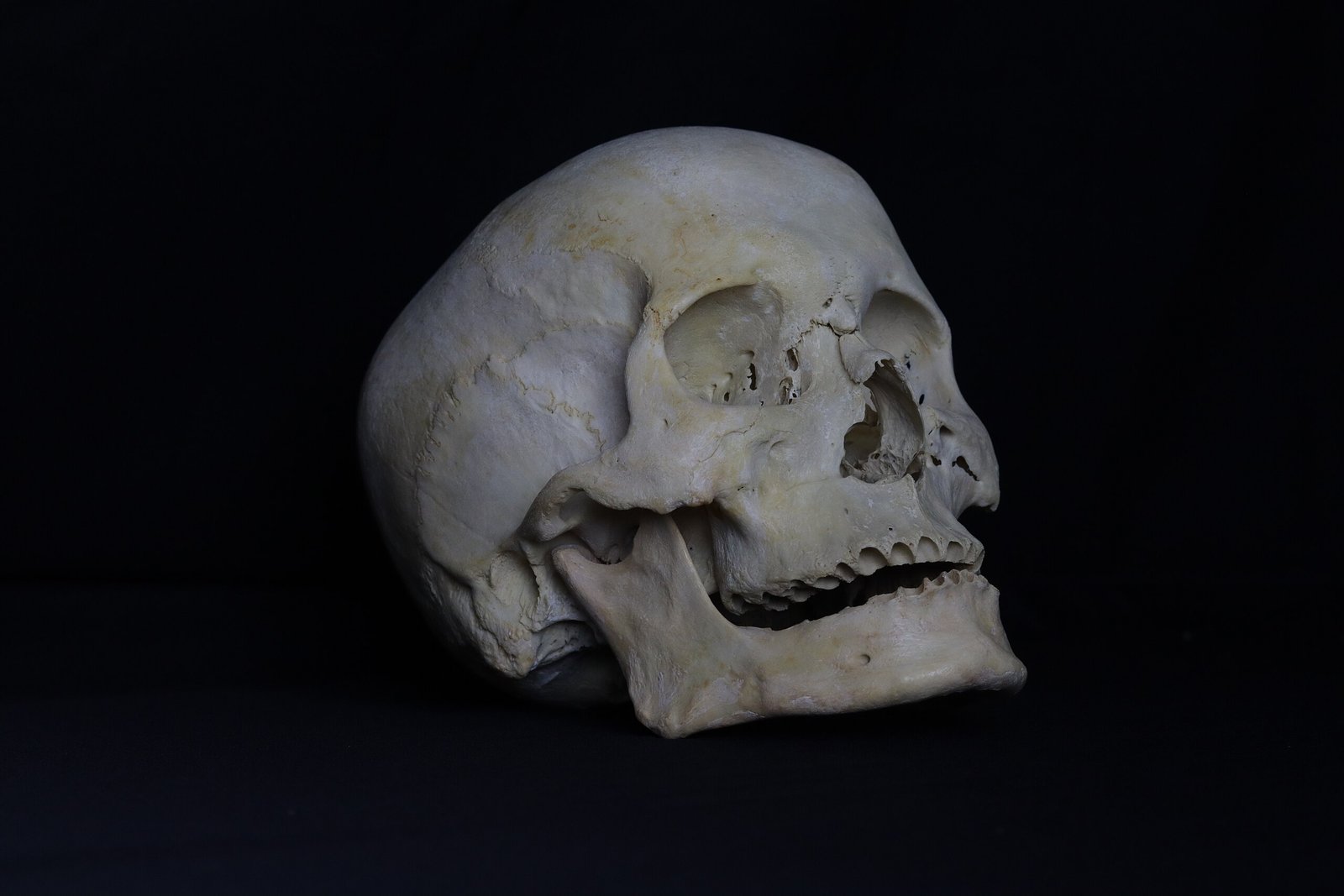 Science reveals new trigger point for the Black Death