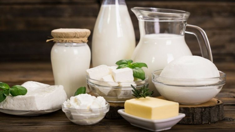 EU Milk Production Set to Decline Through 2026