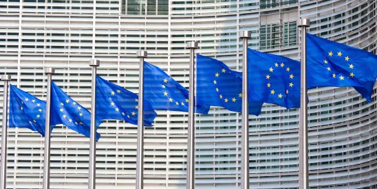 Europe Corporate Sustainability Reporting Directive Streamline