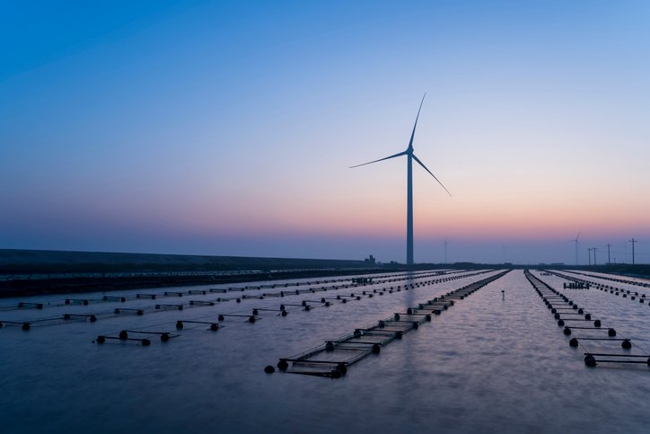 Europe's sustainable blue economy needs more corporate leadership