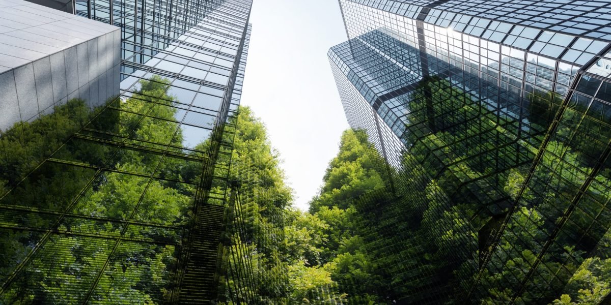2025: the year sustainability didn’t die 