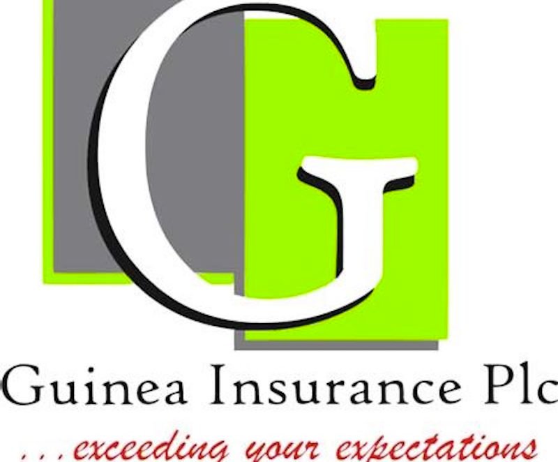 Insurance Firm Secures Shareholders’ Nod to Raise Capital – THISDAYLIVE