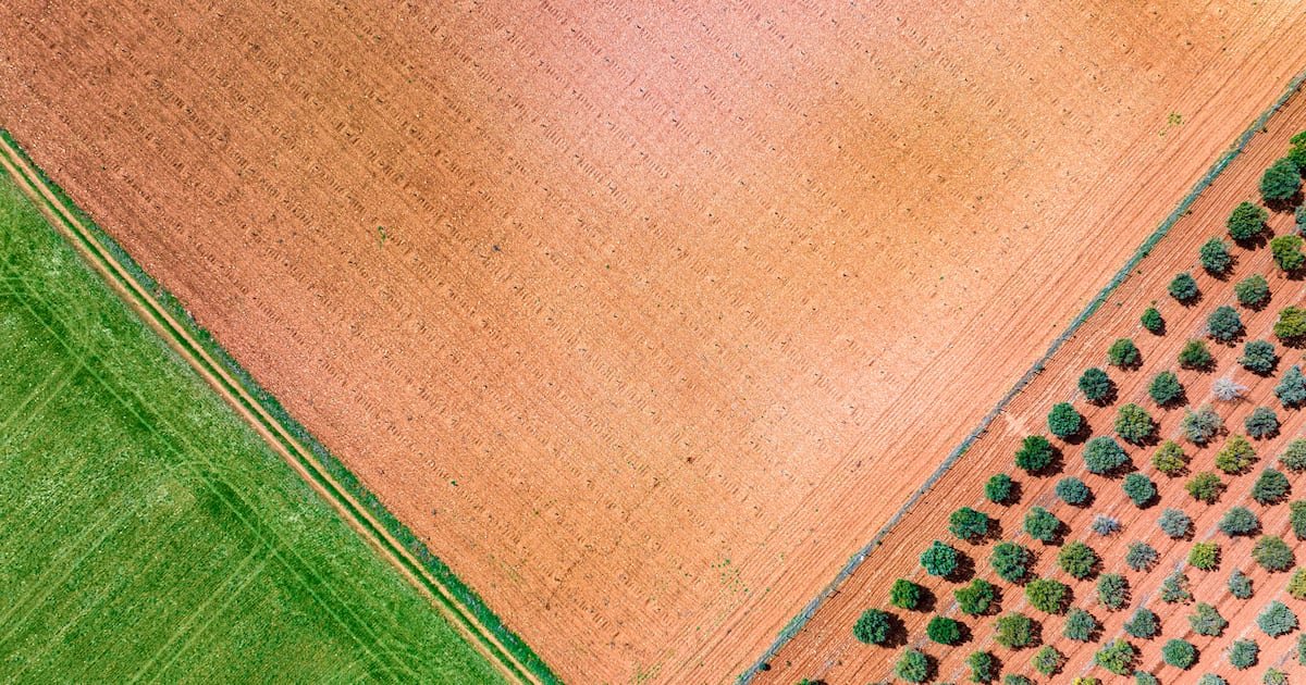 UK sustainability platform launches Spanish pilot to accelerate regenerative agriculture