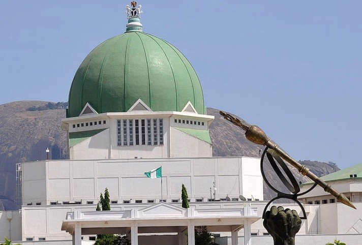 National Assembly May Decide on Special Seats Bill this Week  – THISDAYLIVE