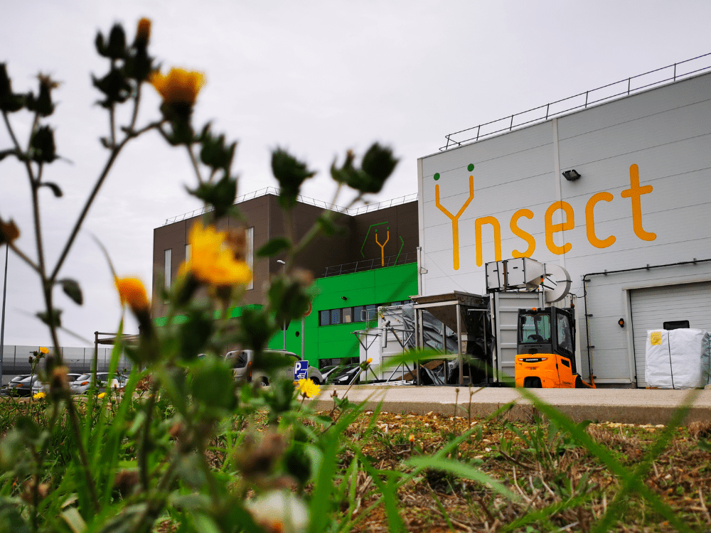 The Ÿnsect mealworm farm in Amiens, France. Image credit: Ÿnsect