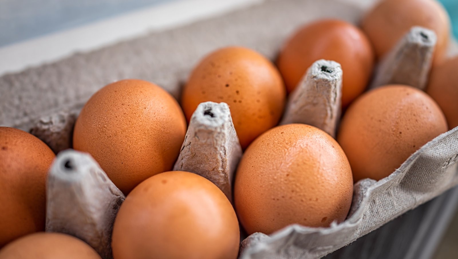 The Dutch food company recently raised the equivalent of $27 million to fund its operations.