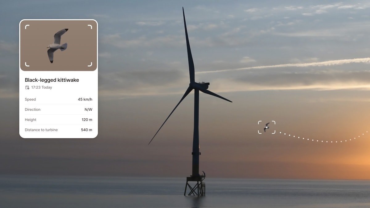 Spoor raises €8m to help wind farms avoid wildlife-related shutdowns