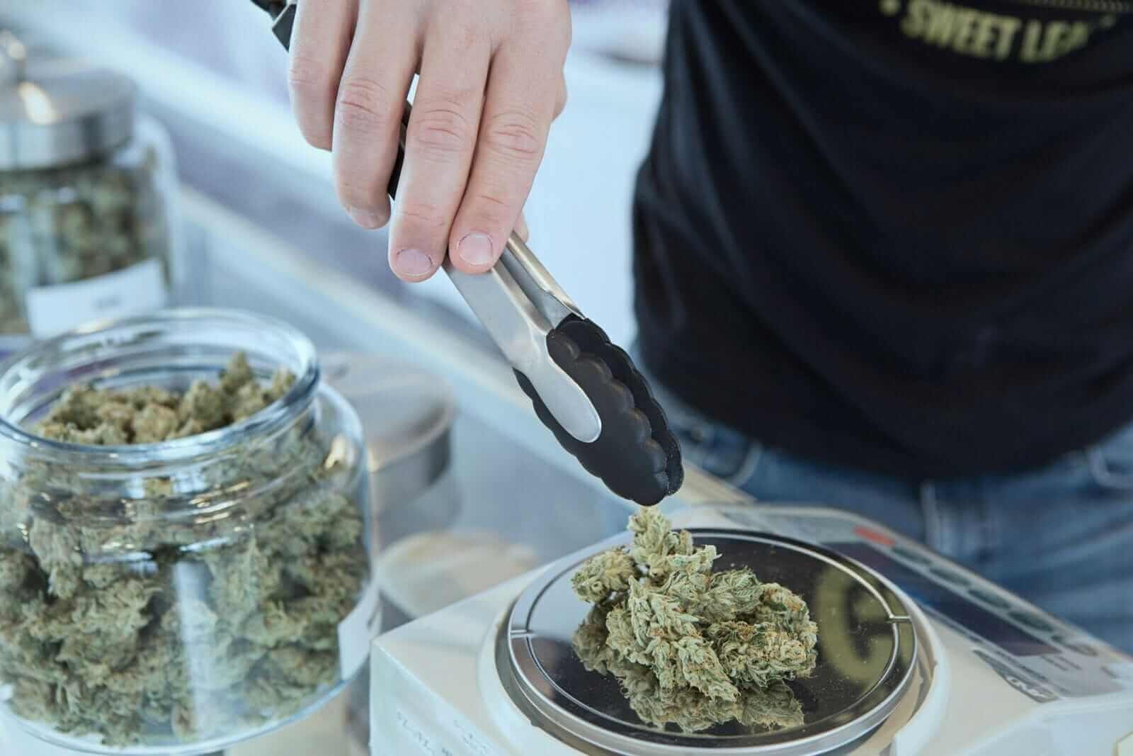 Weighing cannabis by Budding via Unsplash