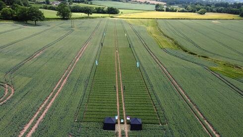 Israel's ADAMA, Germany's BASF partner on new fungicide for European crops