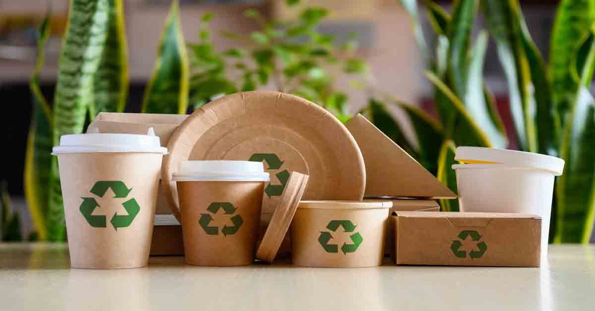 Sustainable Progress and Innovations in Pulp and Paper: November Highlights