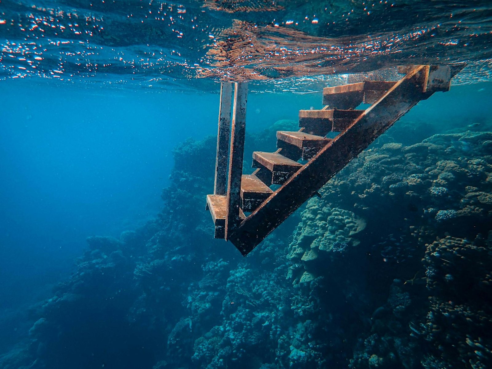 cover Europe races to save its underwater heritage from climate change