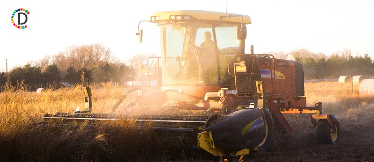 Mercosur Deal Threatens Greek Rice Industry's Survival