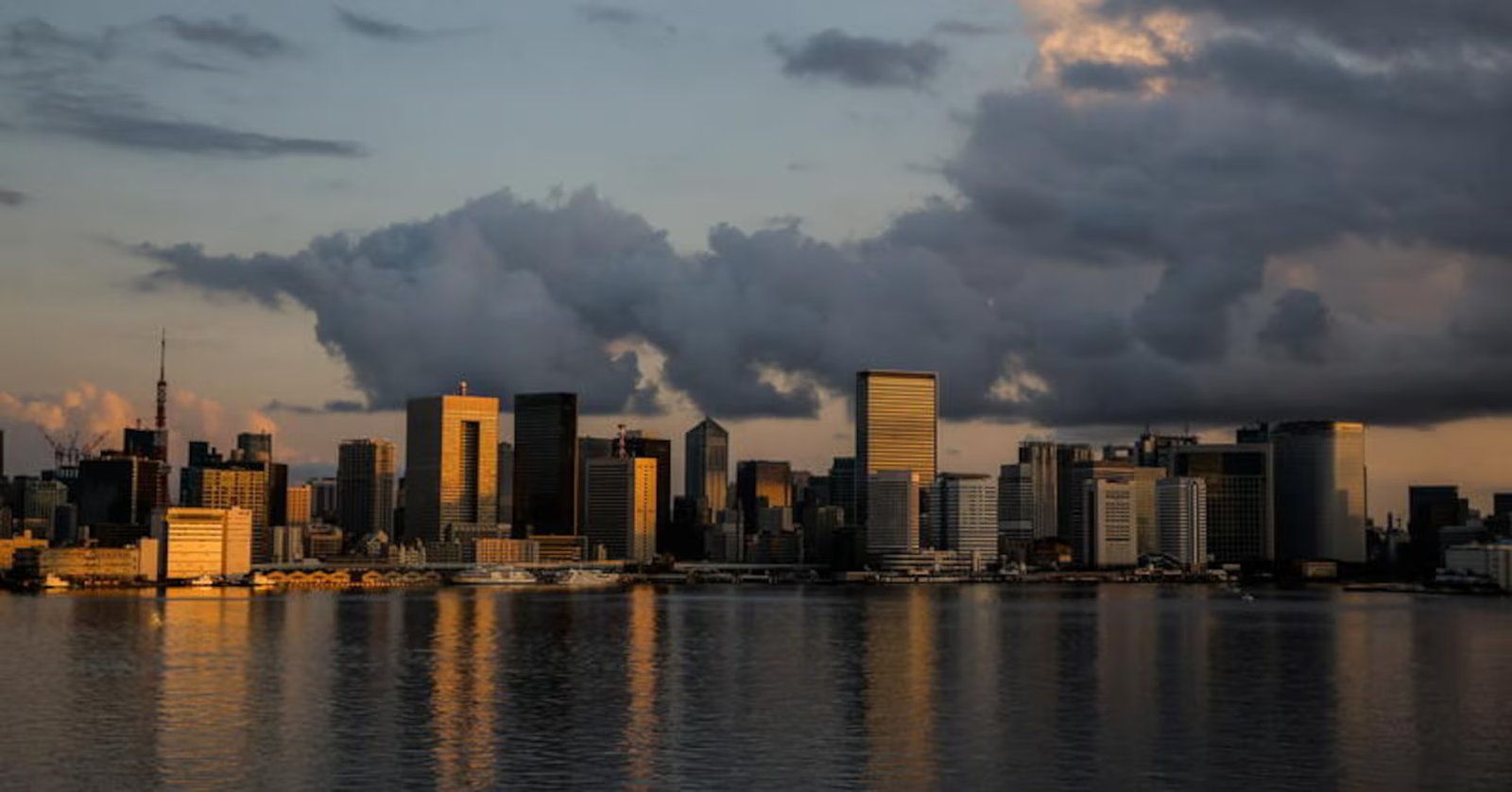 Sustainable Switch Climate Focus: Celebrating the companies still prioritizing sustainability