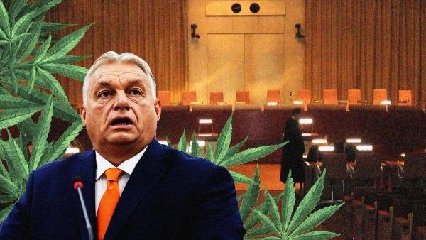 Hungary infringed EU law by voting against the Council’s common position regarding the rescheduling of cannabis, EU Court rules