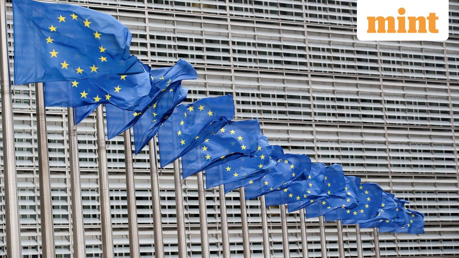 EU Gateway Office won't give preferential treatment for Indian visa applications, say lawyers