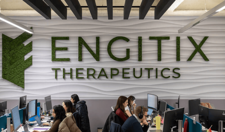 Engitix