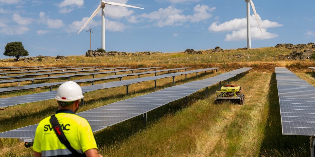 Negative electricity prices are getting more common in Europe—while Americans pay more