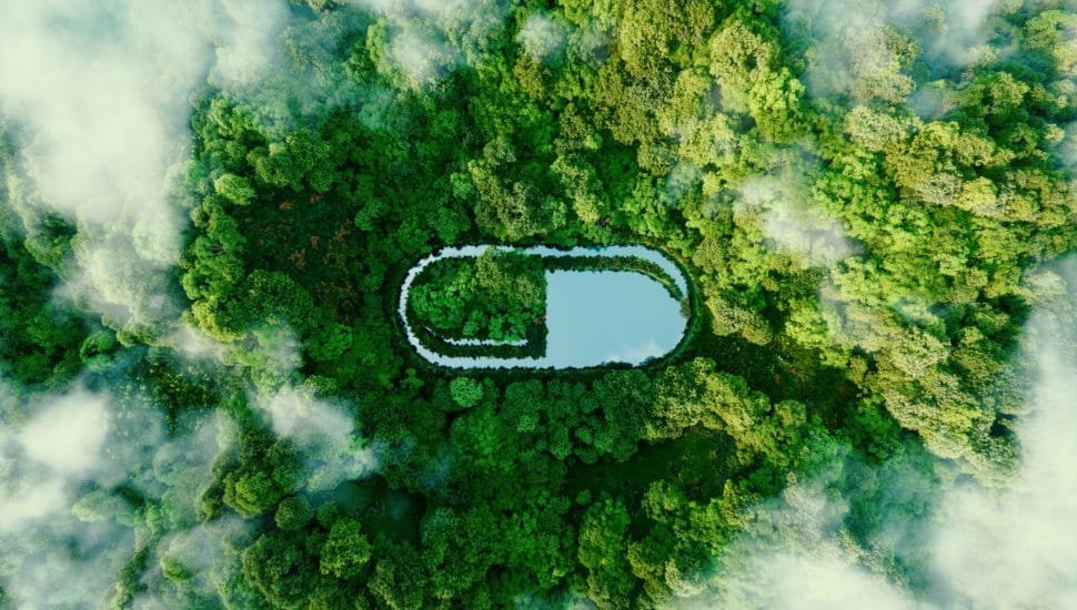 A pill-shaped water surface in the middle of lush nature.